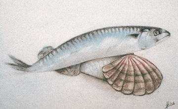 poisson