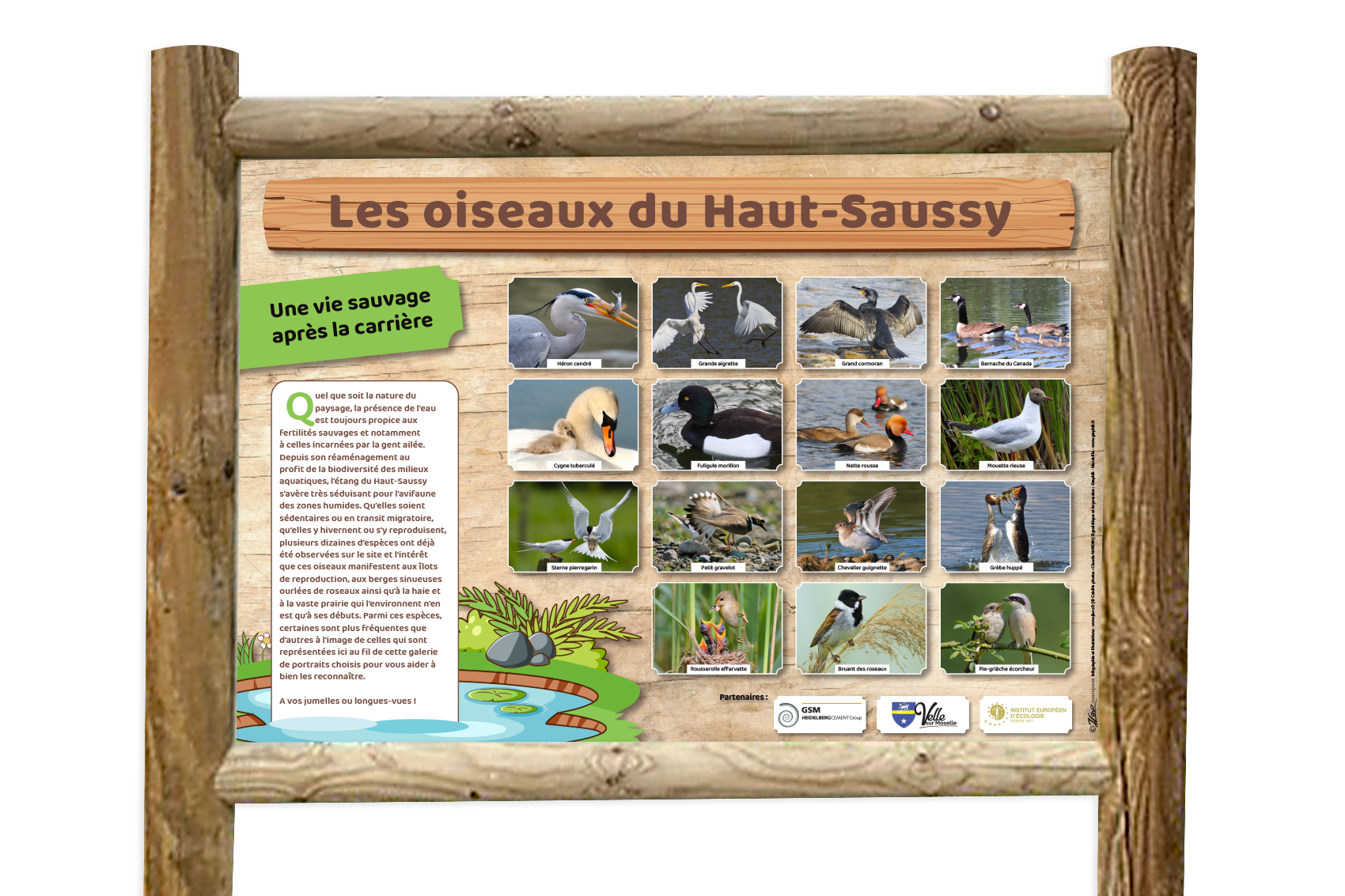 Signalétique Haut Saucy Velle